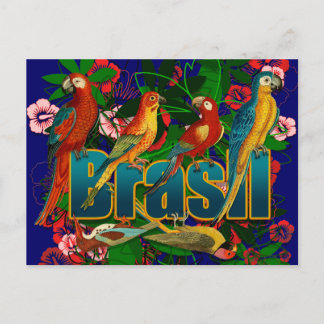 Carte Postale Brasil floral tropical Oiseaux