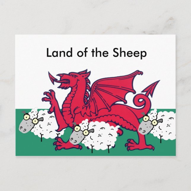 Carte Postale brebis galeuses, Pays des moutons (Devant)