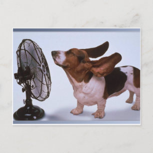 Carte Postale Breeze - Chien et ventilateur