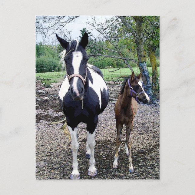 Carte Postale Breezie n Zura (Devant)