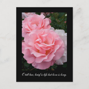 Carte Postale Bref, c'est la vie, mais l'amour est long (citatio