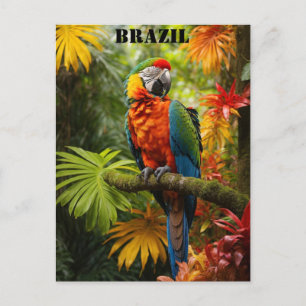 Carte Postale Brésil Rainforest Colorée Macaw Bird Travel