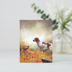 Carte Postale Bretagne Espagnol, Chasse Pheasant  