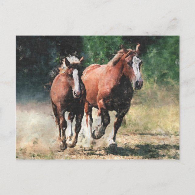 Carte postale bretonne de chevaux (Devant)