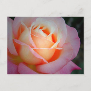 Carte Postale Brianna