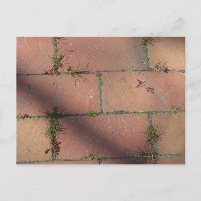 Carte Postale Brick rouge (Devant)