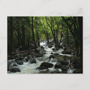 Carte Postale Bridalveil Creek dans le parc national de Yosemite