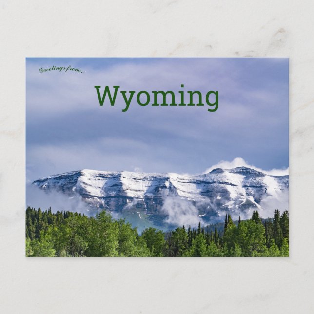 Carte Postale Bridger Teton Forêt nationale Wyoming (Devant)