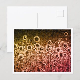 Carte postale "Brigade Tournesol"