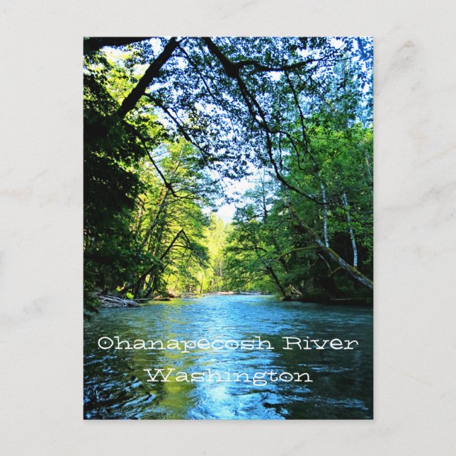Carte Postale Bright Blue River Under Green Trees à Washington (Devant)