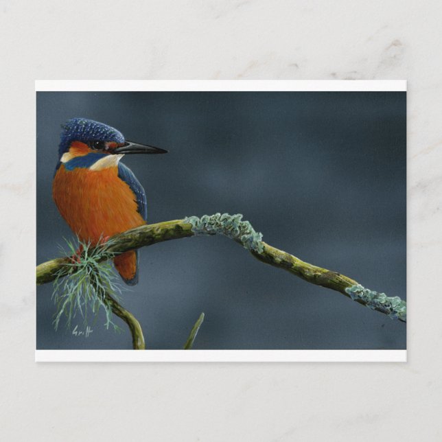Carte Postale Bright Kingfisher cadeaux (Devant)