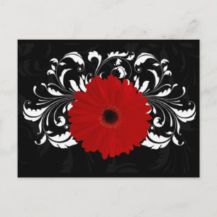 Carte Postale Bright Red Gerbera Daisy on Black