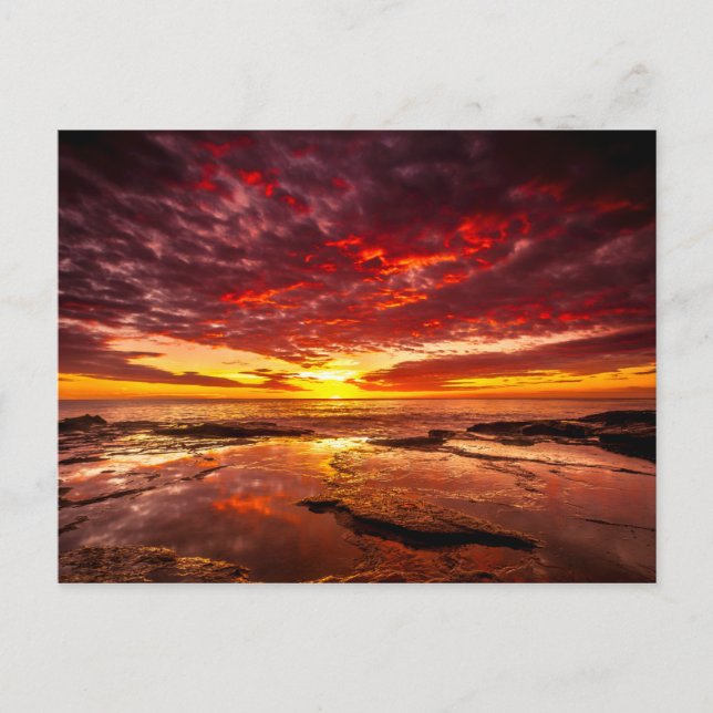 Carte Postale Brillant Soleil Tropical Lumière Rocky Shore Mer (Devant)
