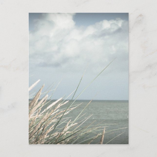 Carte Postale Brin (Devant)