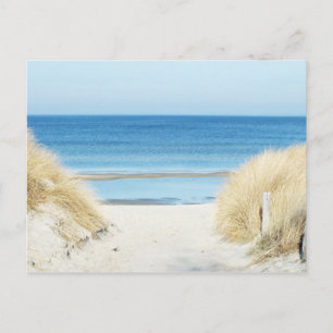 Carte Postale brin