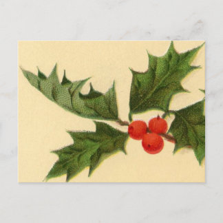 Carte postale : Brin de houx