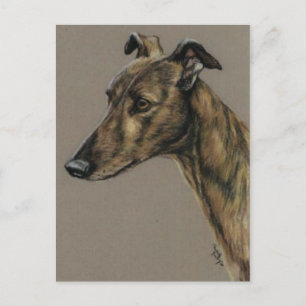 Carte postale "Brindle Greyhound"