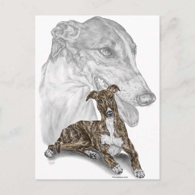Carte Postale Brindle Greyhound Chig Art (Devant)
