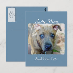 Carte Postale Brindle Pit Bull Puppy par Shirley Taylor