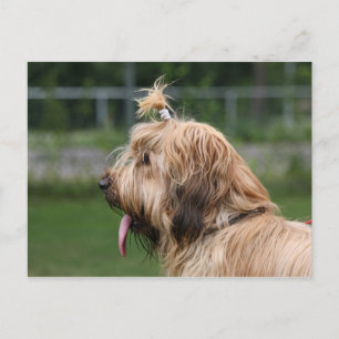 Carte Postale brique