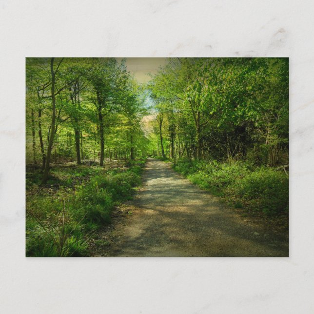 Carte Postale Bristol Avon Forest au printemps. (Devant)
