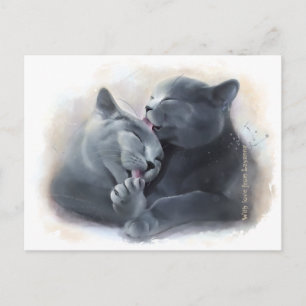 Carte Postale British Shorthair cats