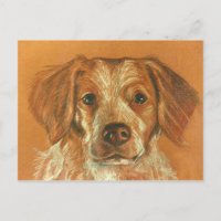 Carte postale Brittany