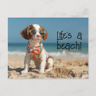 Carte Postale Brittany Spaniel Puppy portant des lunettes de sol