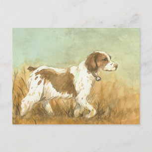Carte postale "Brittany Spaniel" Reproduction d'ar
