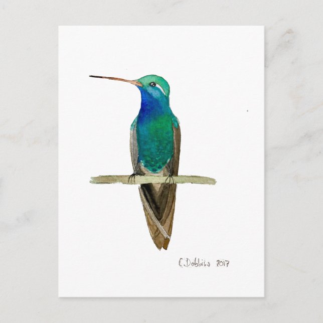 Carte Postale Broad-billed Hummingbird (Devant)