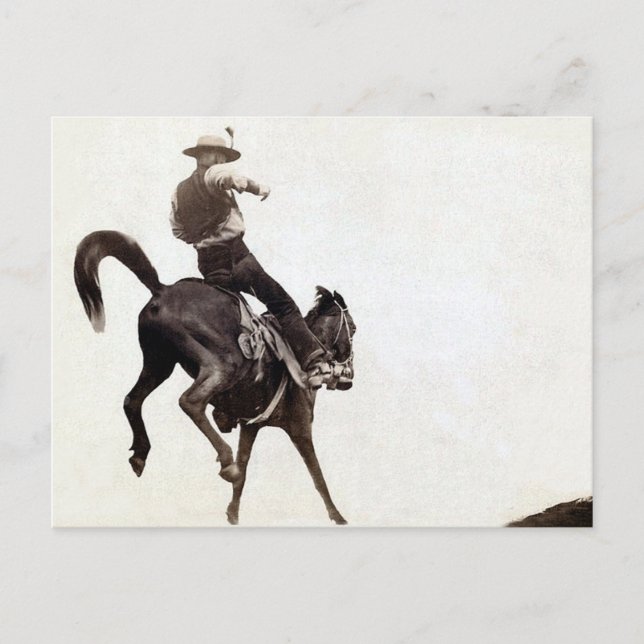 Carte Postale Bronco (Devant)
