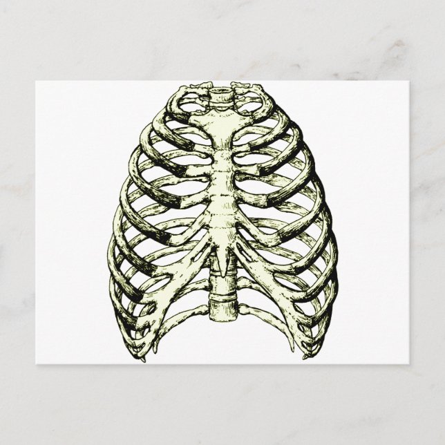 Carte Postale Bronze De La Cage De Rib (Devant)