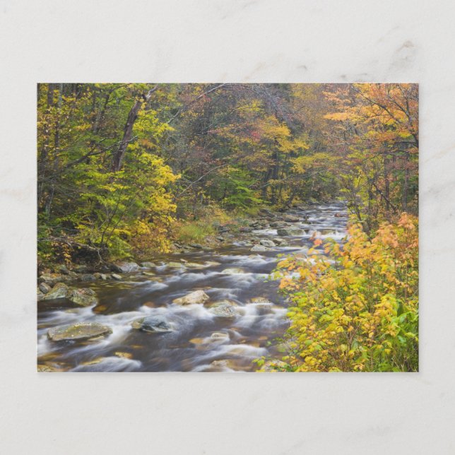 Carte Postale Brook à l'automne dans Vermont's Green 2 (Devant)