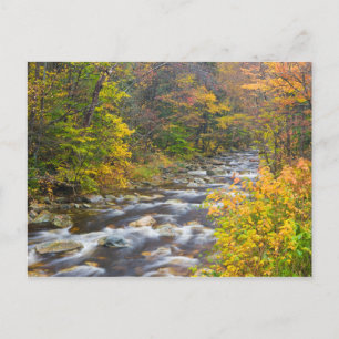 Carte Postale Brook à l'automne dans Vermont's Green 2