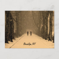Brooklyn hivernal