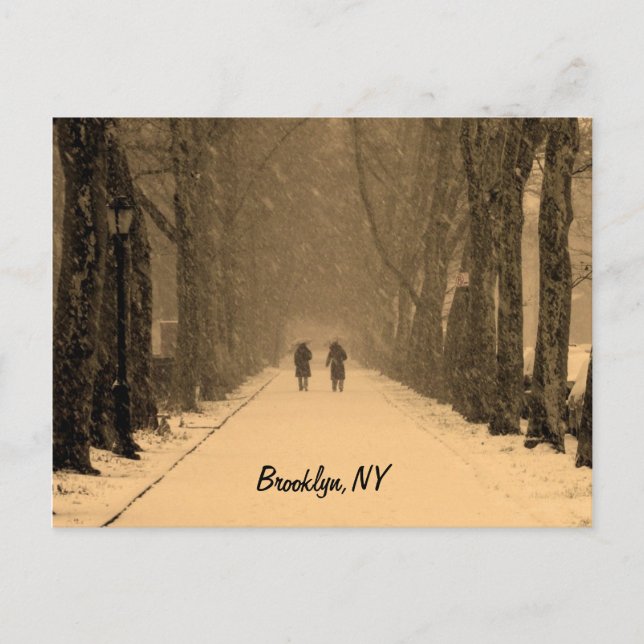Carte Postale Brooklyn hivernal (Devant)
