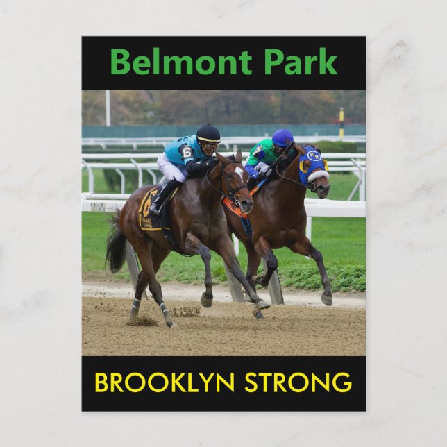Carte Postale Brooklyn Strong - Orbe d'aigle (Devant)