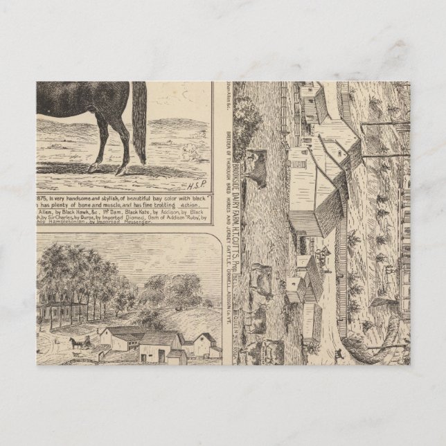 Carte Postale Brookside Dairy Farm (Devant)