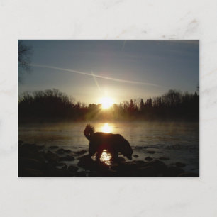 Carte Postale Brouillard sur la rivière Mississippi