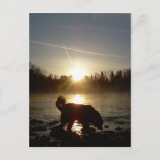 Carte Postale Brouillard sur le fleuve Mississippi