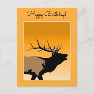 Carte Postale Brouillonnant Bull Elk au coucher du soleil Art or
