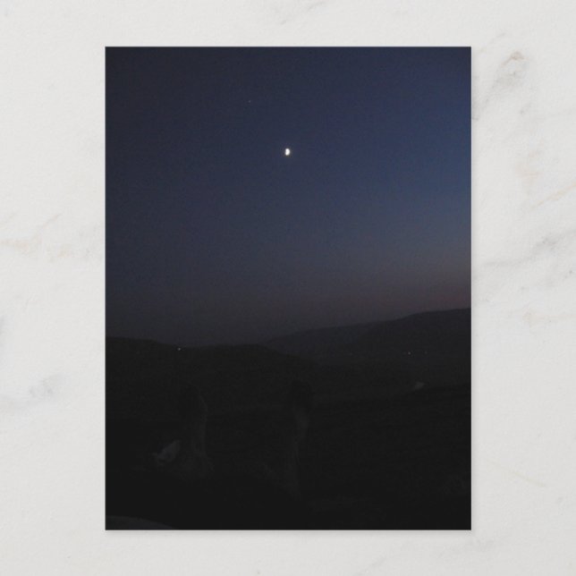 Carte Postale broutage (Devant)