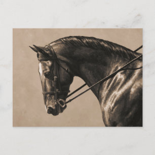 Carte Postale Brown Bay Oldenburg Horse Portrait Sepia
