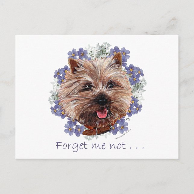 Carte Postale Brown Cairn Terrier Oubliez-moi-ne-pas (Devant)
