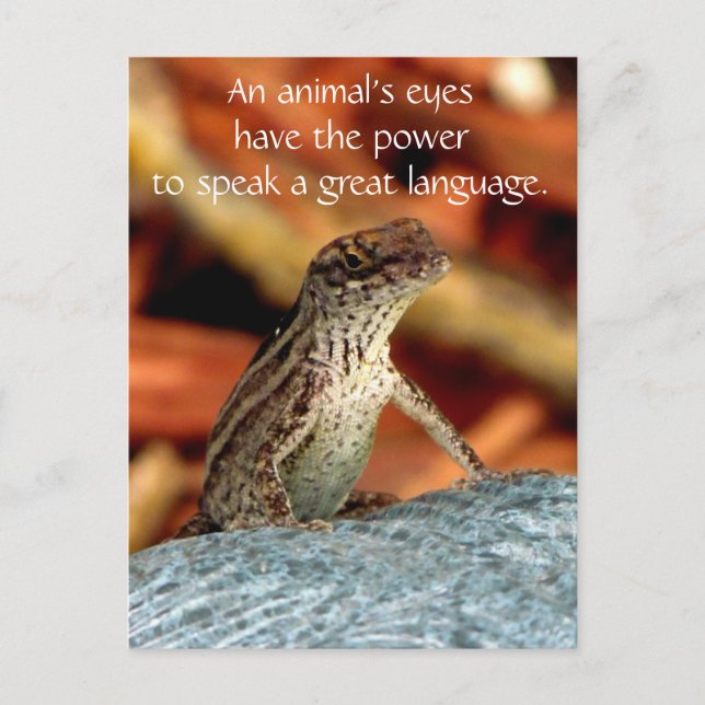 Carte postale Brown d'Anole (lézard) (Devant)