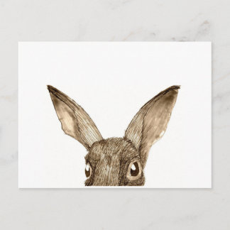 Carte postale Brown Hare II