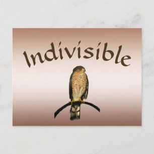 Carte postale Brown Hawk indivisible