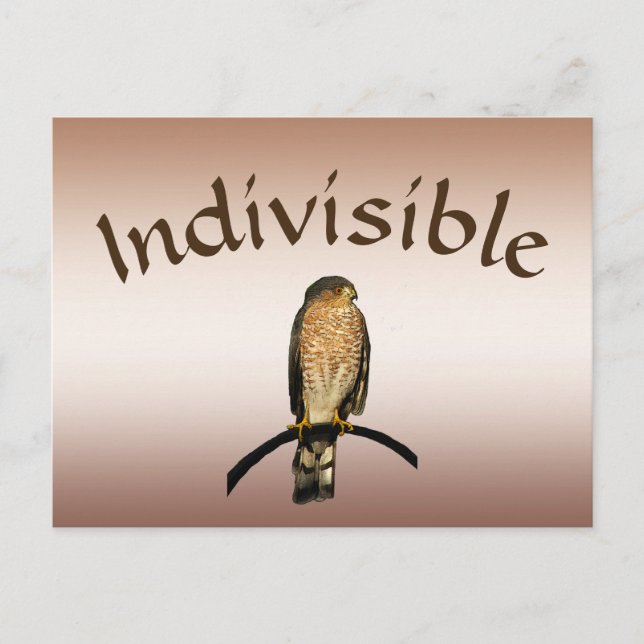 Carte postale Brown Hawk indivisible (Devant)