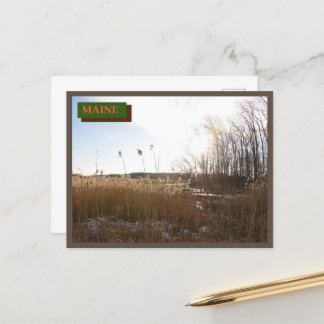 Carte Postale Brown Kittery Seapoint Beach Maine Nature