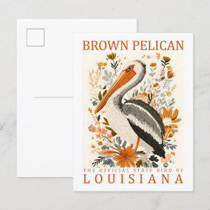 Carte Postale Brown Pélican Bird Louisiana USA Travel